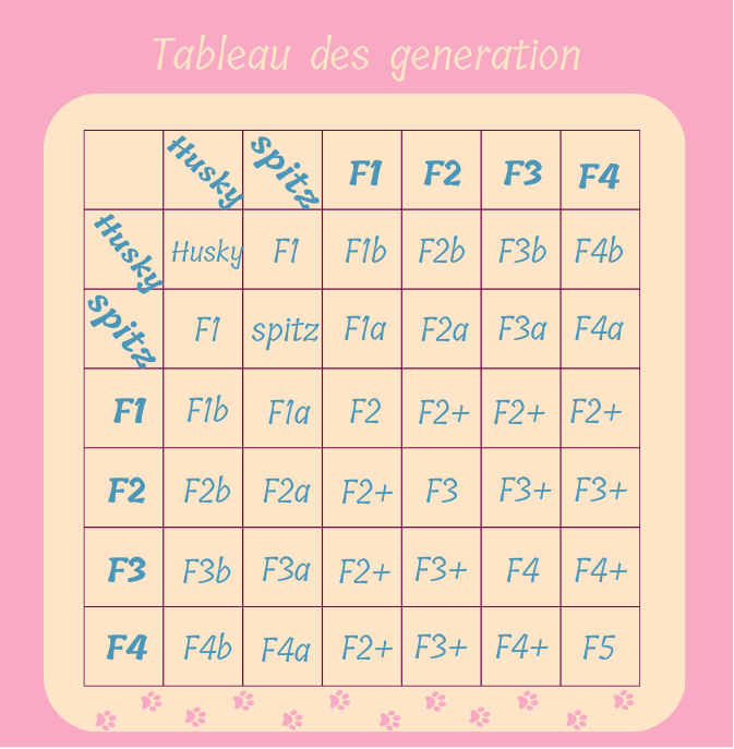 les génération en pomsky